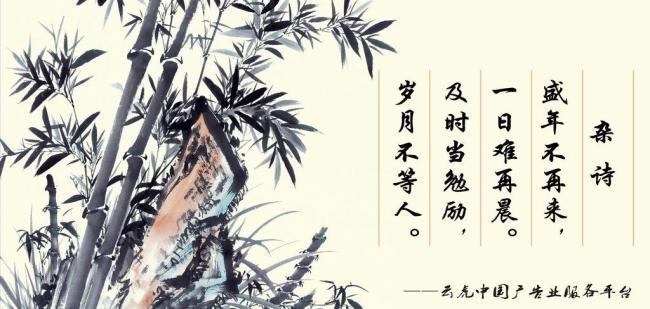 辦公室風水擺件，助你事業風生水起